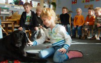 Klasse-dieren Klasse-dieren
