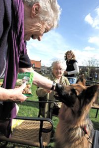 Stichting ZorgDier: Jigger op ouderenbezoek