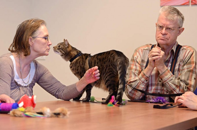 ZorgDier afdeling jong dementerenden