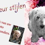 Dieren Van Foto naar Kunst