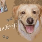 Dieren Van Foto naar Kunst - Pastelkrijt