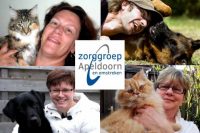 ZorgDier zoekt vrijwilligers omgeving Apeldoorn