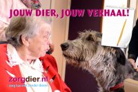 Jouw dier, jouw verhaal