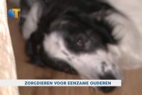 Zorgdieren voor eenzame ouderen