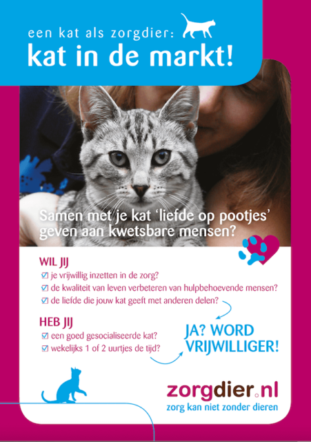 Flyer Kat in de markt