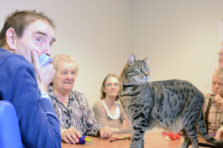 kat op bezoek bij jonge mensen met dementie